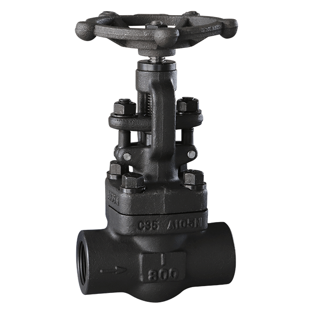 Forged Steel Threaded Globe Valve