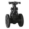 Forged Steel Flange Gate Valve