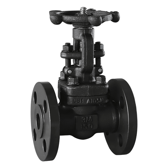 Forged Steel Flange Gate Valve