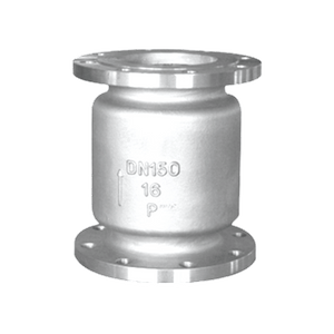 Vertical Check Valves