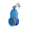 Electrical Gate Valves